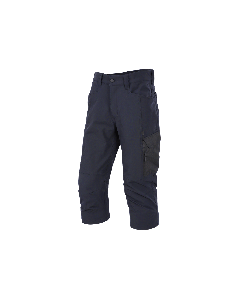 Bismuth Service Long Shorts